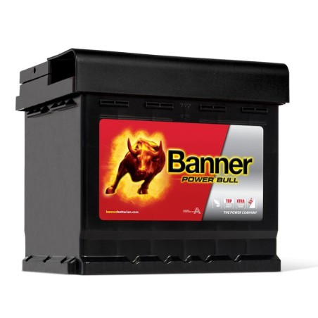 BATTERIE POWER BULL P5003