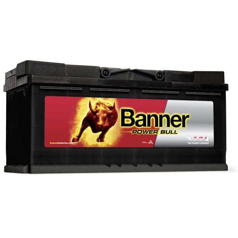 BATTERIE POWER BULL P100 40